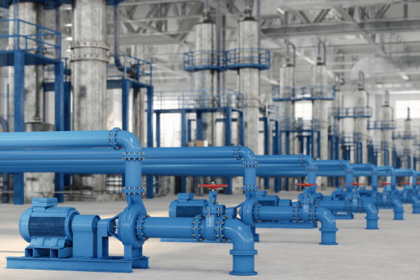 Best Residential Plumbing Services  in Immokalee, FL